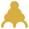 20+ Years of Craft Experience